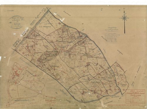 Dry - Sections