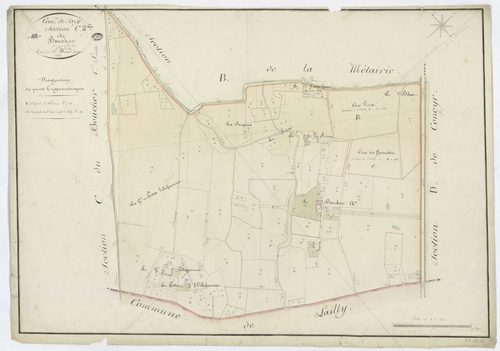 Dry - Sections