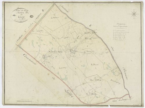 Dry - Sections