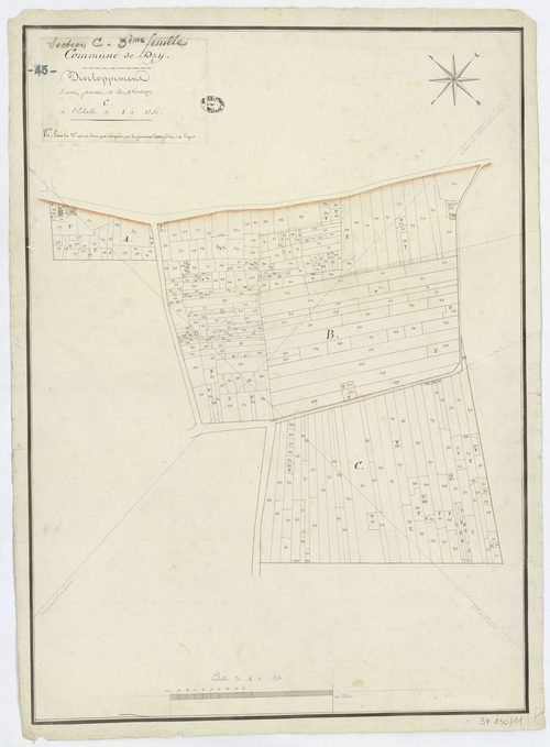 Dry - Sections
