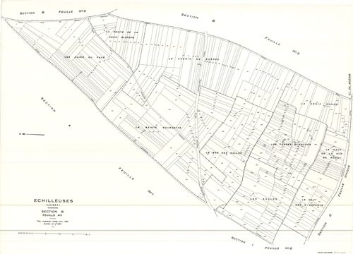 Echilleuses - Sections