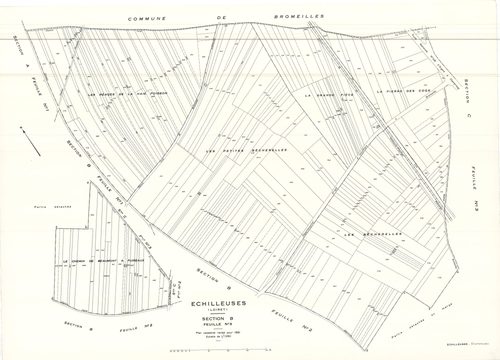 Echilleuses - Sections