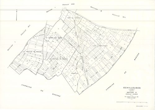 Echilleuses - Sections