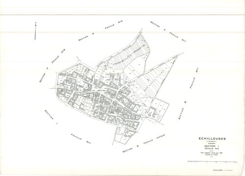 Echilleuses - Sections