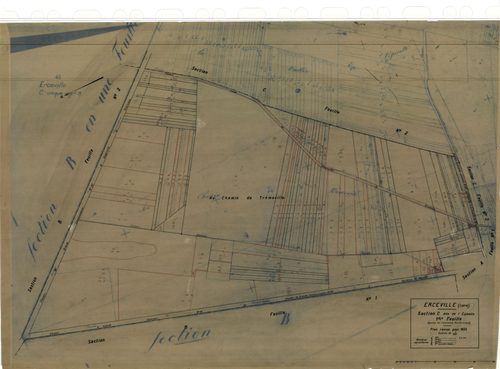 Erceville - Sections