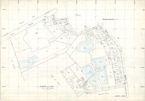 La Ferté-Saint-Aubin - Sections