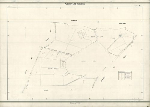 Fleury-les-Aubrais - Sections