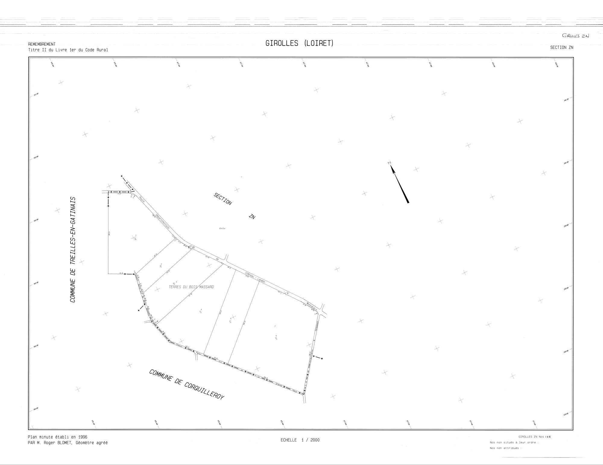 Girolles - Sections