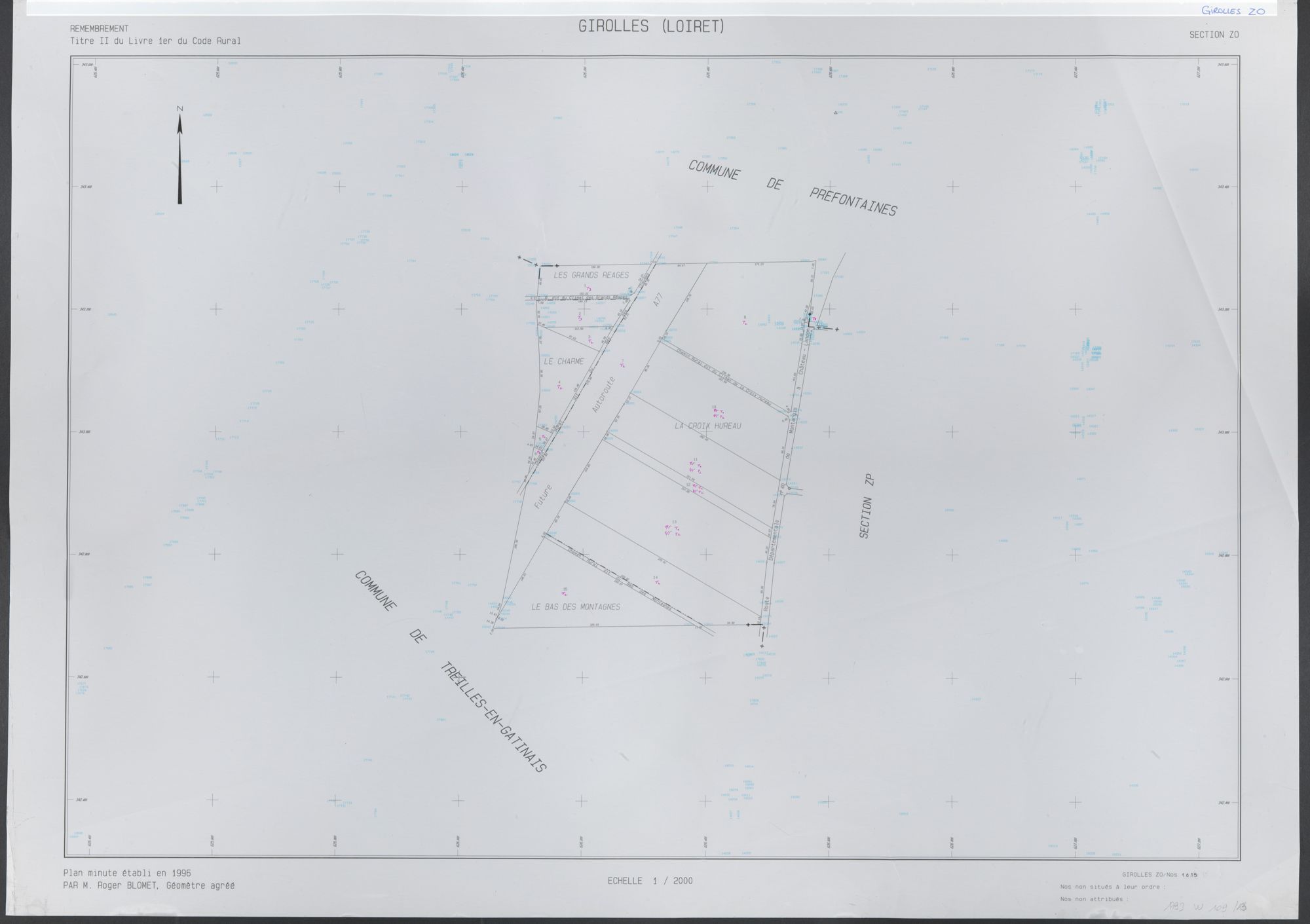 Girolles - Sections