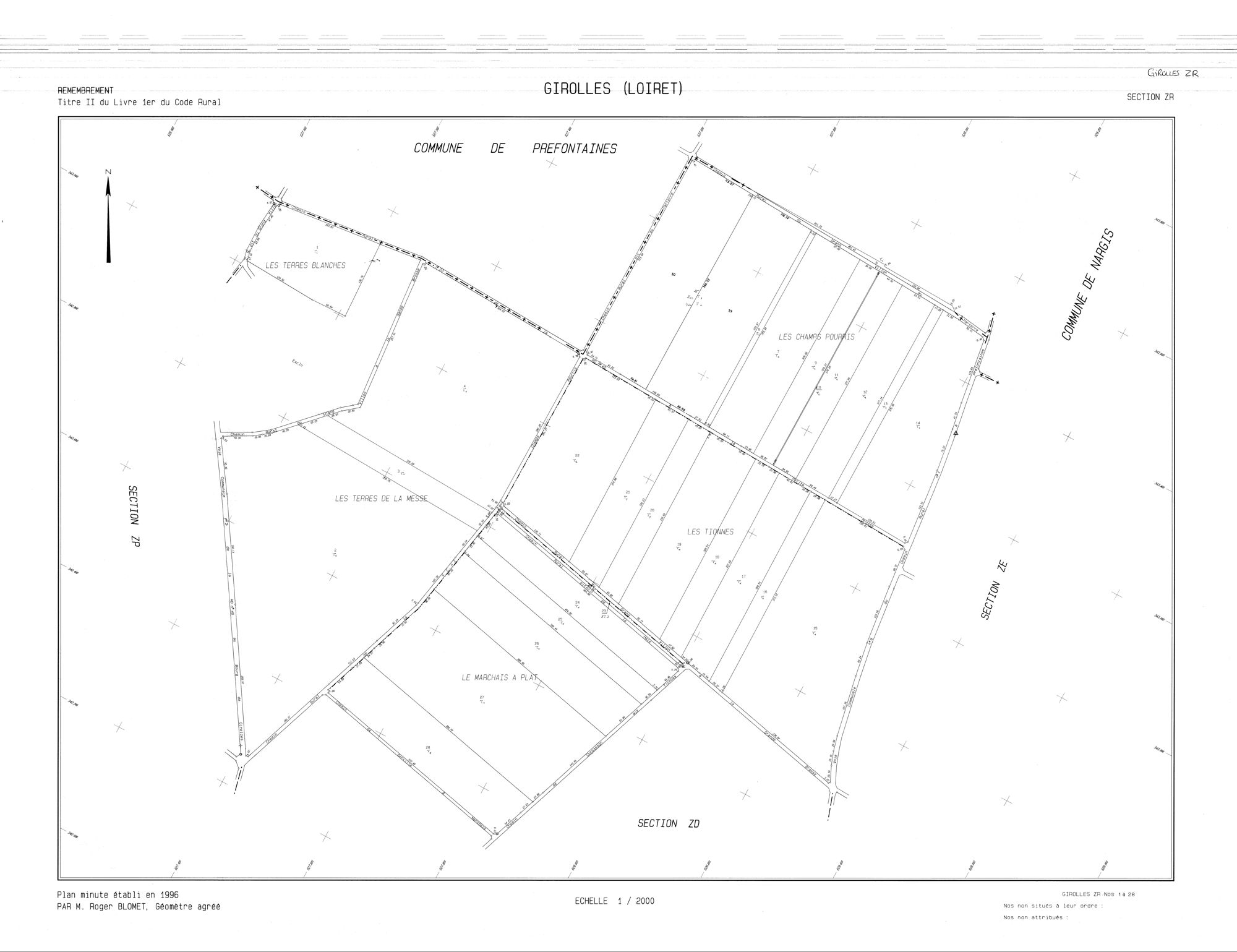 Girolles - Sections