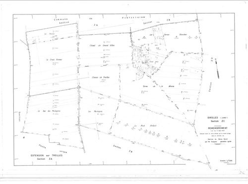 Girolles - Sections