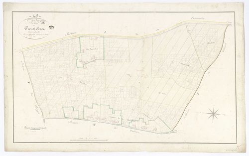 Jargeau - Sections