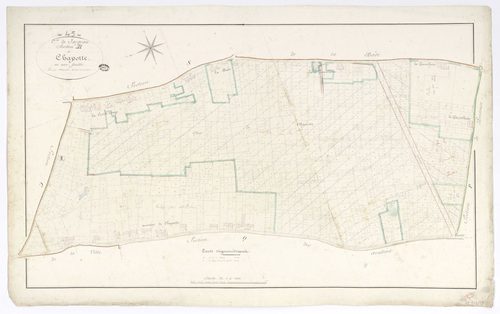Jargeau - Sections
