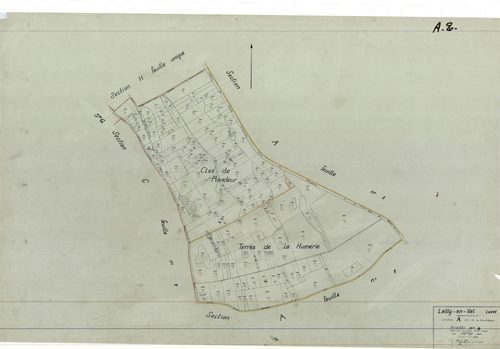 Lailly-en-Val - Sections