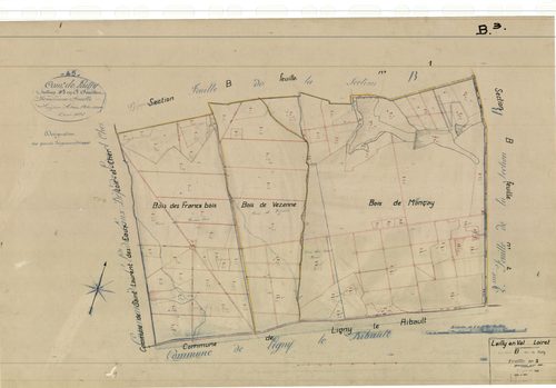 Lailly-en-Val - Sections