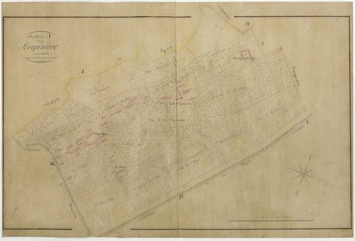 Lailly-en-Val - Sections