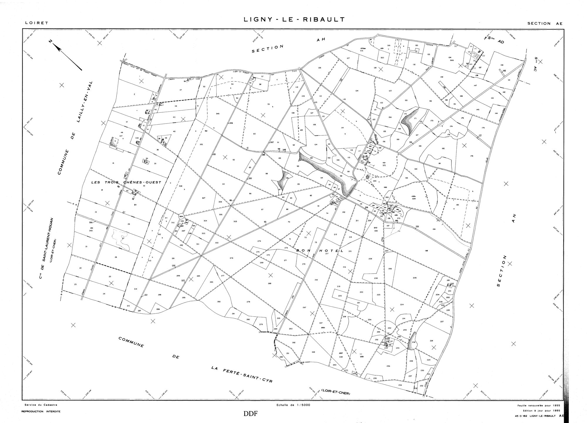 Ligny-Le-Ribault - Sections