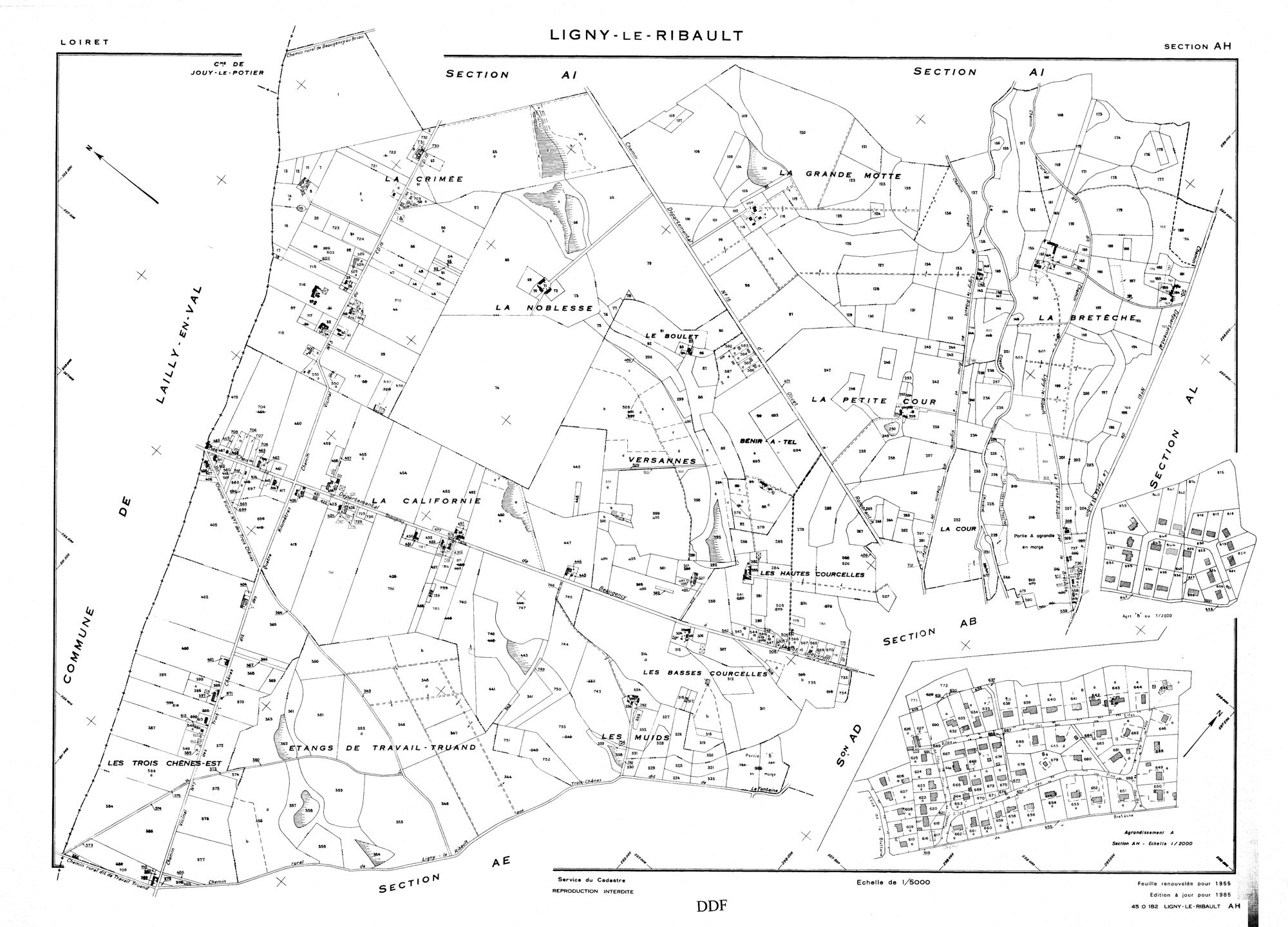 Ligny-Le-Ribault - Sections