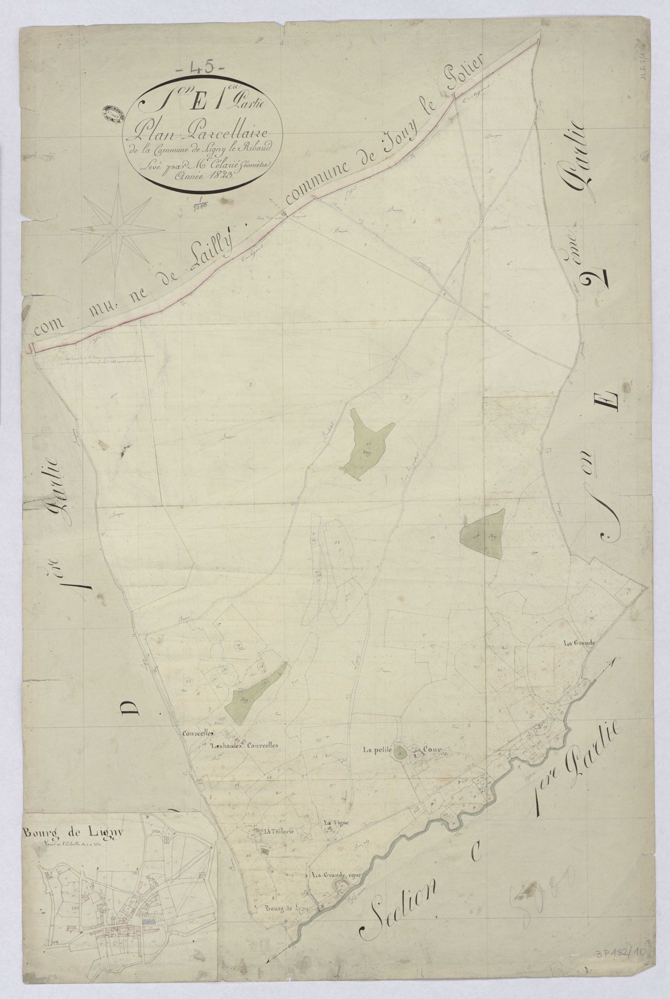 Ligny-Le-Ribault - Sections