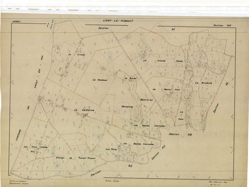 Ligny-Le-Ribault - Sections