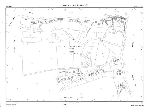 Ligny-Le-Ribault - Sections