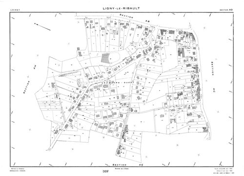 Ligny-Le-Ribault - Sections