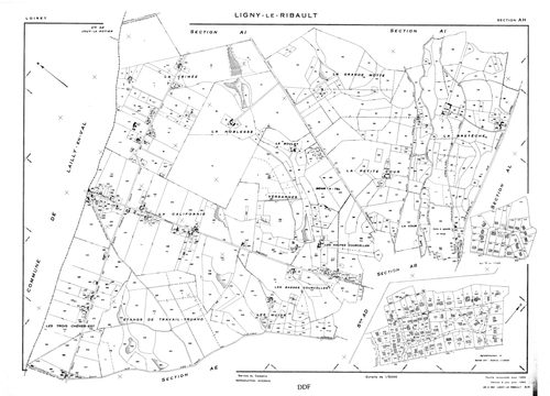 Ligny-Le-Ribault - Sections