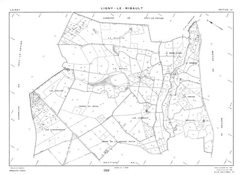 Ligny-Le-Ribault - Sections