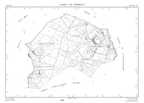 Ligny-Le-Ribault - Sections