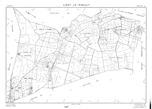 Ligny-Le-Ribault - Sections