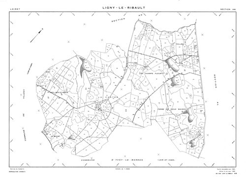 Ligny-Le-Ribault - Sections