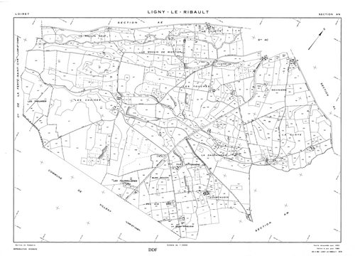 Ligny-Le-Ribault - Sections