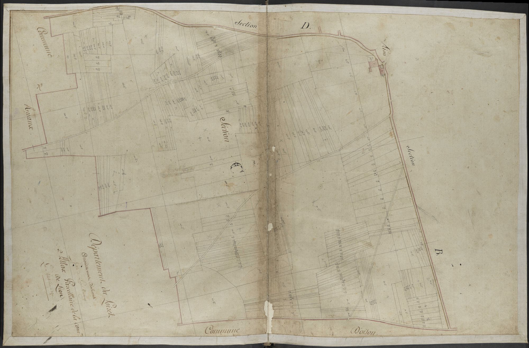 Lion-en-Beauce - Sections
