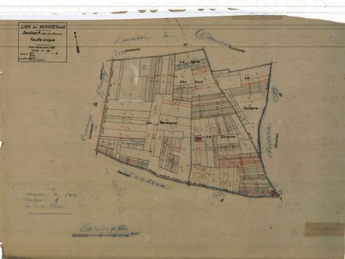 Lion-en-Beauce - Sections