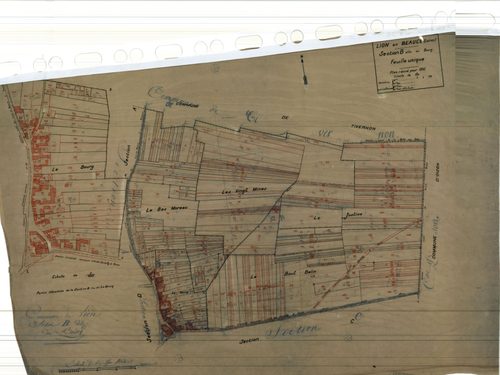 Lion-en-Beauce - Sections