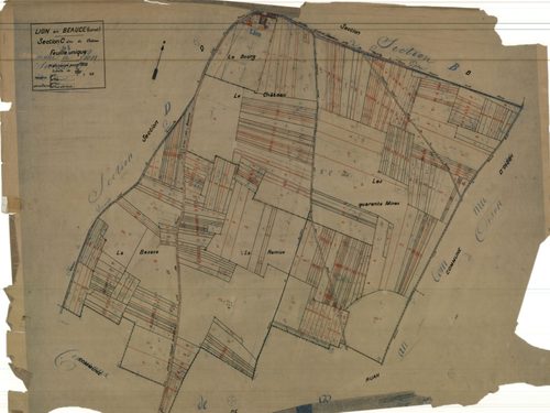 Lion-en-Beauce - Sections