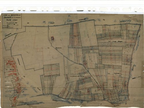 Lion-en-Beauce - Sections