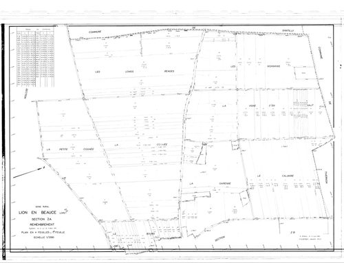 Lion-en-Beauce - Sections