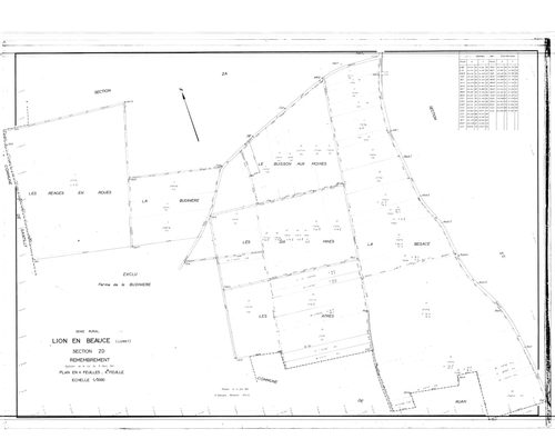 Lion-en-Beauce - Sections