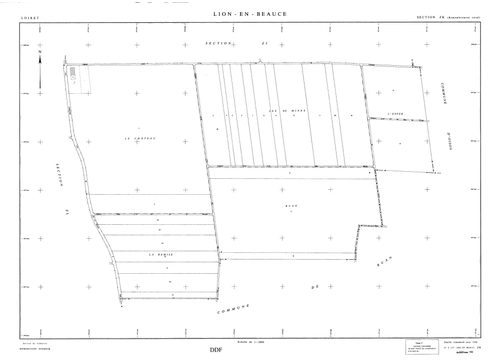 Lion-en-Beauce - Sections