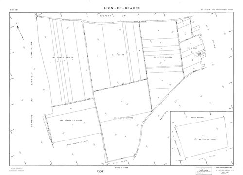 Lion-en-Beauce - Sections