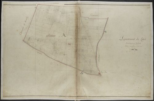 Lion-en-Beauce - Sections
