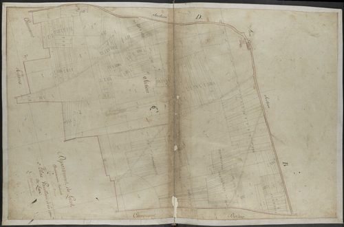 Lion-en-Beauce - Sections