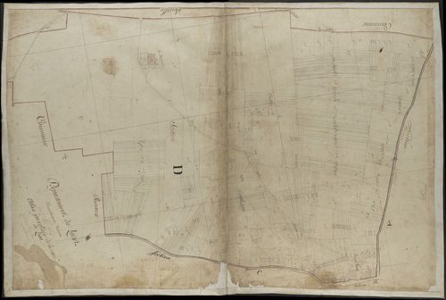Lion-en-Beauce - Sections