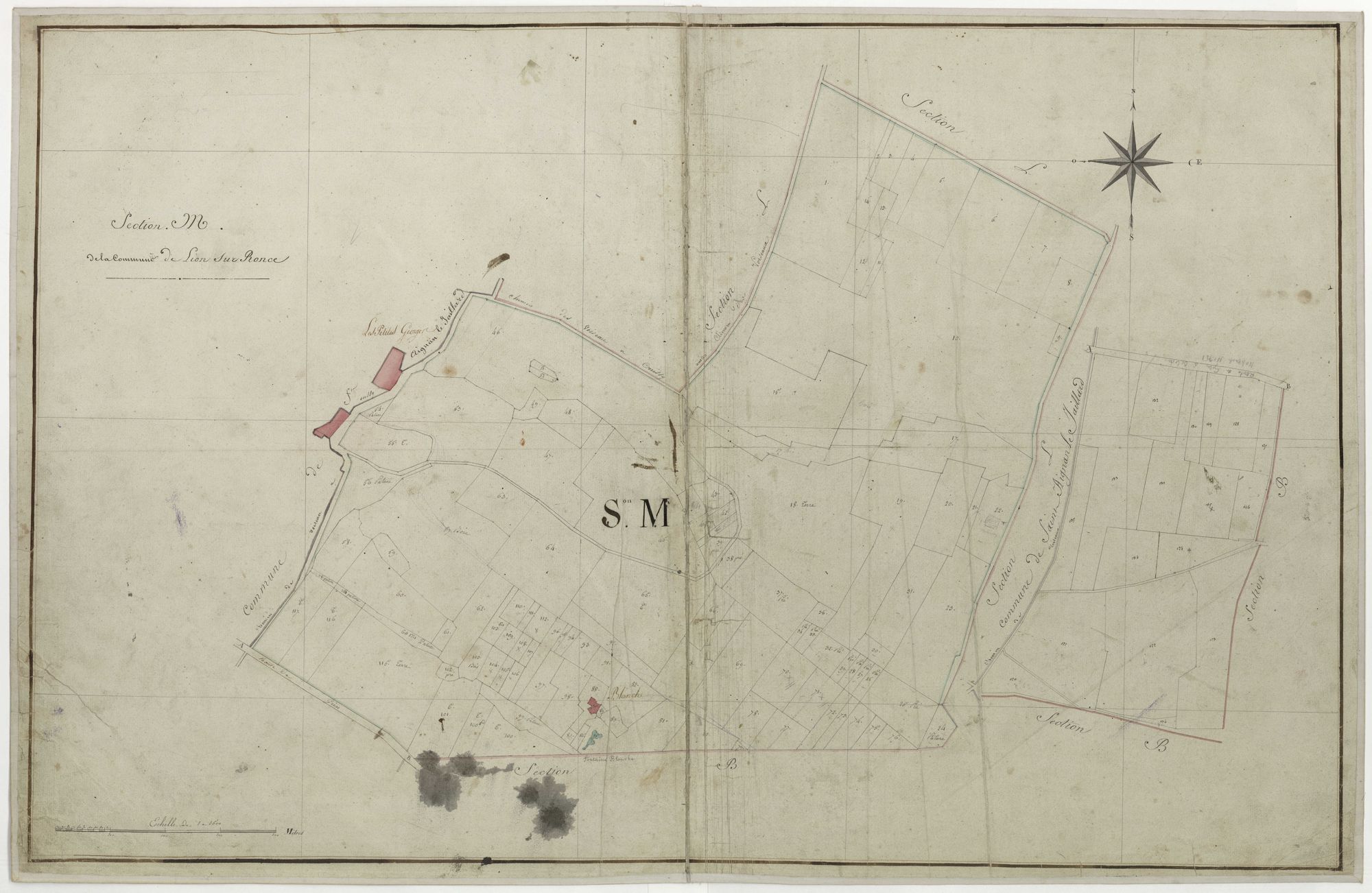 Lion-en-Sullias - Sections