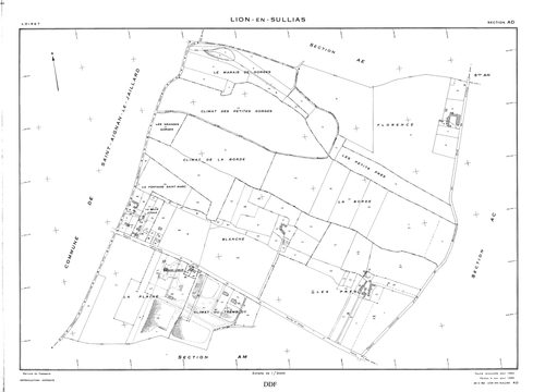 Lion-en-Sullias - Sections