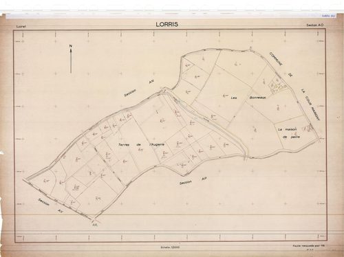 Lorris - Sections