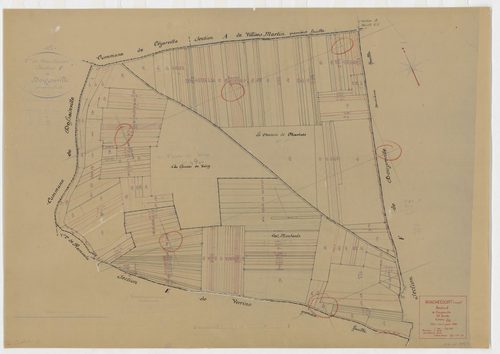 Manchecourt - Sections
