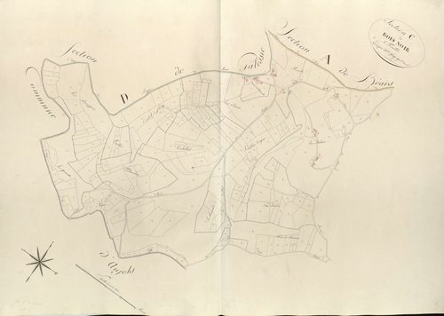 section C du Bois Noir, 1ère feuille