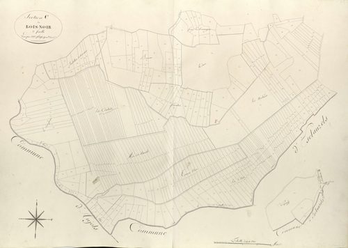section C du Bois Noir, 3ème feuille